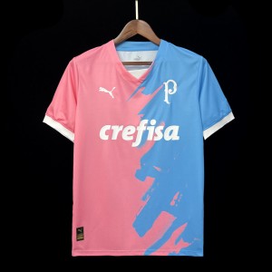 23/24 Palmeiras Cancer Awareness Pink Jersey