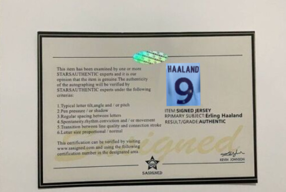 Haaland Champions League COA